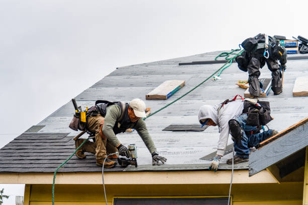 Professional Gutter Installation technician working in Wellington, TX